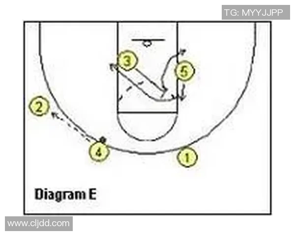 广州排球队快攻战术解析与实战应用全面剖析