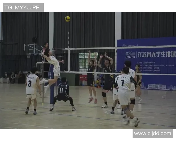 杭州排球队荣登排球配合排行榜第一名展现卓越团队实力